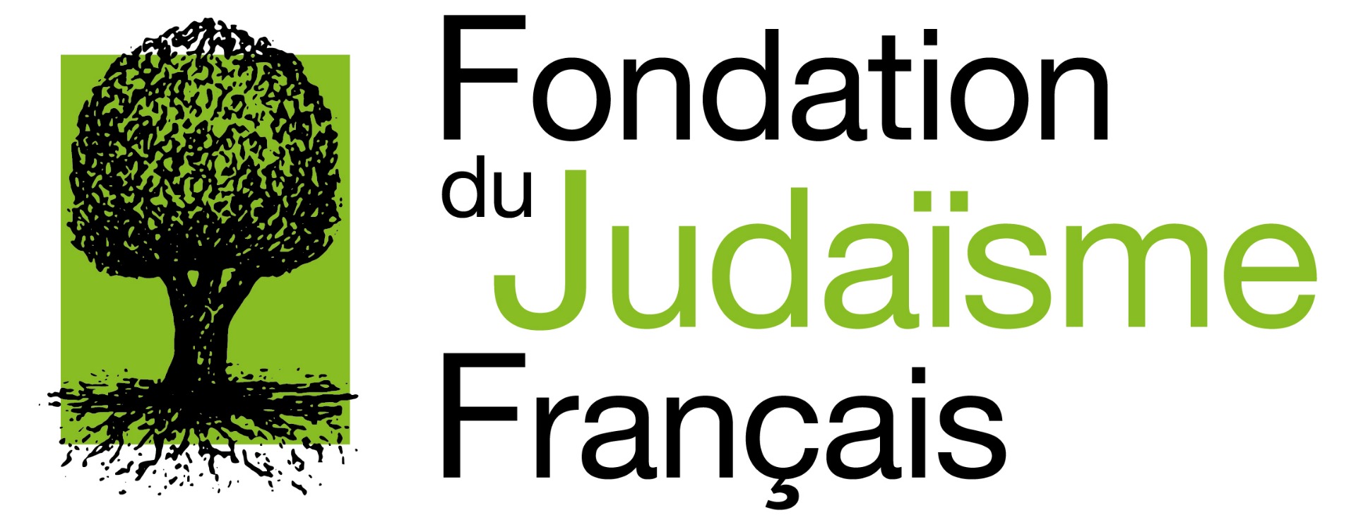 Partnership Company Logo Fondation Judaisme Francais