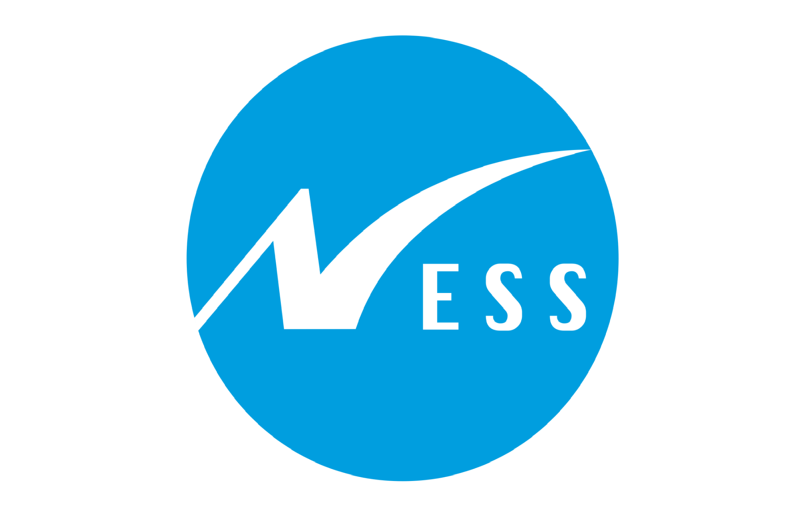 Partnership Company Logo Ness