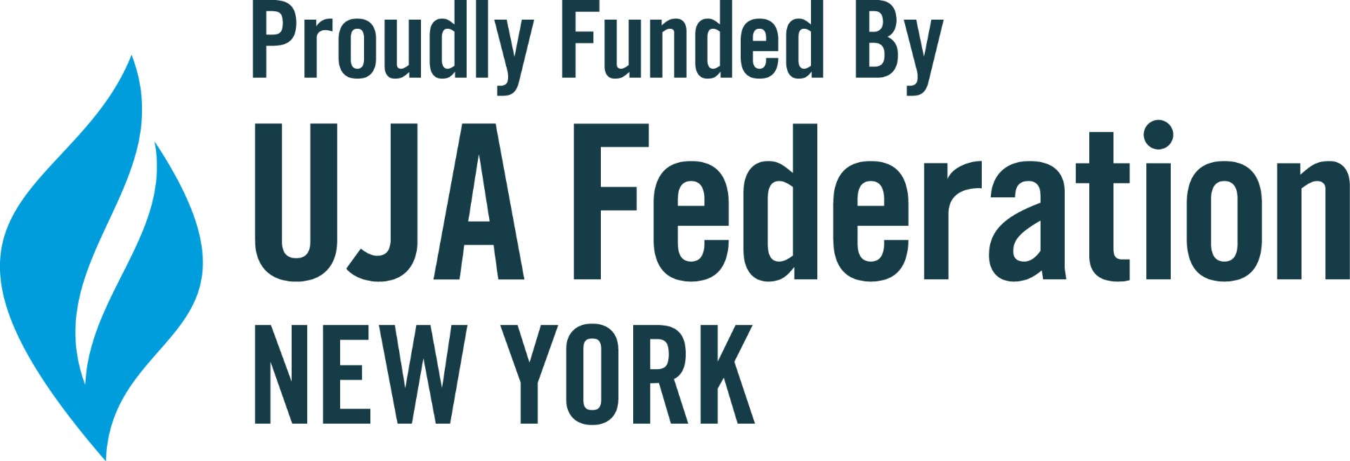 Partnership Company Logo The UJA Federation New York 